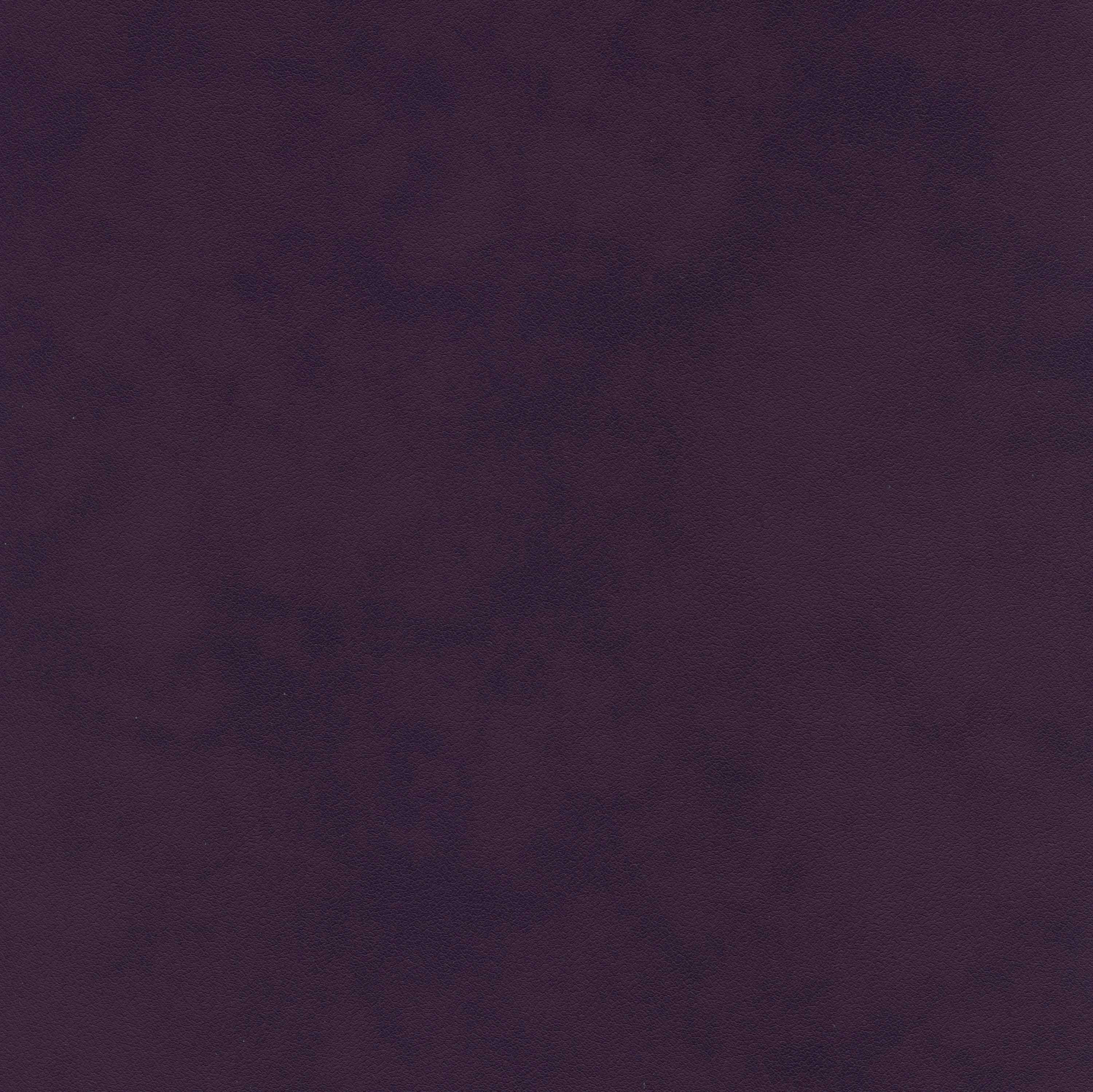 Italian Plum 09